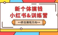 (5677)新个体·搞钱-小红书训练营:实战落地运营方法,抓住搞钱方向,每月多搞2w+