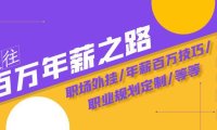 （5711）通往百万年薪之路·陪跑训练营：职场外挂/年薪百万技巧/职业规划定制/等等
