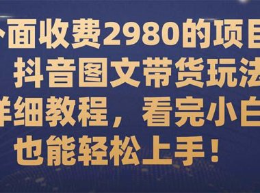 （5531）外面收费2980的项目，抖音图文带货玩法详细教程，看完小白也能轻松上手！