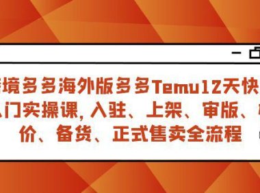(5537)跨境多多海外版多多Temu12天快速入门实战课,从入驻 上架到正式售卖全流程