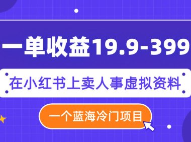 (5539)一单收益19.9-399,一个蓝海冷门项目,在小红书上卖人事虚拟资料
