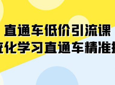 (5543)直通车-低价引流课,系统化学习直通车精准投放(14节课)