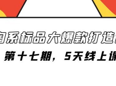 (5544)淘系标品大爆款打造课-第十七期,5天线上课