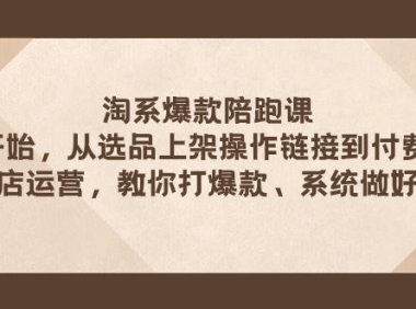 (5563)淘系爆款陪跑课 从选品上架操作链接到付费放大 全店运营 打爆款 系统做好店