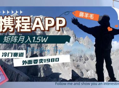 (5568)携程APP薅羊毛,外面卖1980的冷门赛道,矩阵月入1.5w