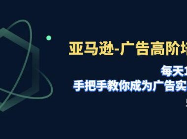 (5578)亚马逊-广告高阶培训班,每天10分钟,手把手教你成为广告实战高手(51节)