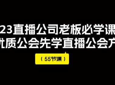 （5579）2023直播公司老板必学课程，做优质公会先学直播公会方法（55节课）
