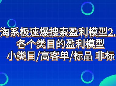 (5580)淘系极速爆搜索盈利模型2.0,各个类目的盈利模型,小类目/高客单/标品 非标