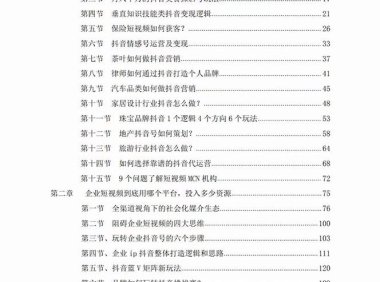 （5584）企业-抖音引流与变现：企业小投入从0到1玩转短视频 各行业知视频变现实战