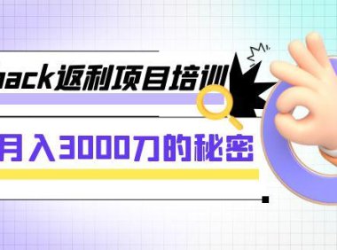 （5589）cashback返利项目培训：轻松月入3000刀的秘密（8节课）