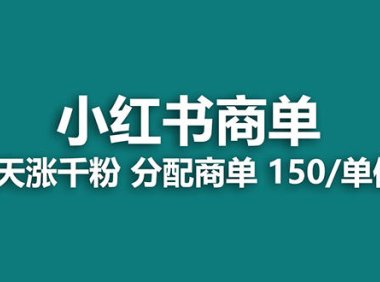 (5627)【蓝海项目】2023最强蓝海项目,小红书商单项目,没有之一!