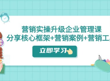 （5629）营销实操升级·企业管理课：分享核心框架+营销案例+营销工具（课程+文档）