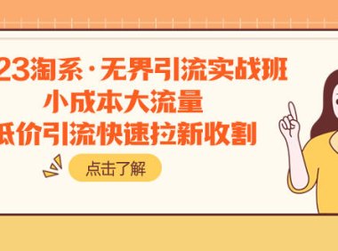 (5630)2023淘系·无界引流实战班:小成本大流量,低价引流快速拉新收割