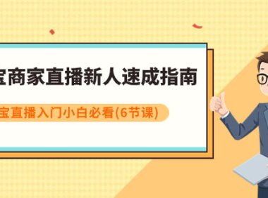 （5646）淘宝商家直播新人速成指南，淘宝直播入门小白必看（6节课）