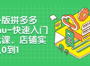(5651)海外版拼多多Temu-快速入门实战课,店铺实战从0到1(12节课)