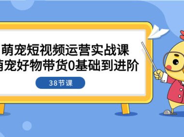 (5667)萌宠·短视频运营实战课:萌宠好物带货0基础到进阶(38节课)