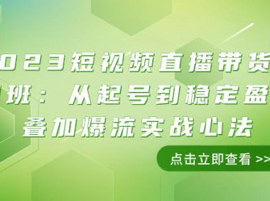 (5676)2023短视频直播带货培训班:从起号到稳定盈利叠加爆流实战心法(11节课)