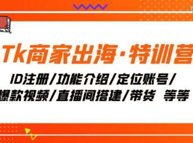 (5692)Tk商家出海·特训营:ID注册/功能介绍/定位账号/爆款视频/直播间搭建/带货.