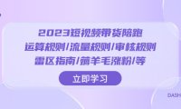 (5743)2023短视频·带货陪跑:运算规则/流量规则/审核规则/雷区指南/薅羊毛涨粉