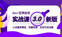 (5766)dou+豆荚投放实战课3.0新版,让流量更精准,质量更高,告别无效流量