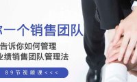 （5772）给你 一个销售团队，告诉你如何管理，高业绩销售团队管理法（89节课）