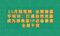 （5782）11月短视频·全案操盘手培训：打通自然流量 成为想象级IP必备要素 全是干货