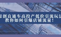 (5790)2023直通车高投产低价引流玩法,教你如何引爆店铺流量!
