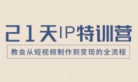 （5802）21天IP特训营，教会从短视频制作到变现的全流程