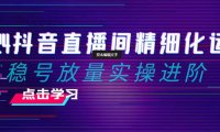 （5817）2024抖音直播间精细化运营：稳号放量实操进阶 选品/排品/起号/小店随心推/千川付费如何去投放