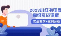 (5848)2023小红书-电商高级实战课程,实战教学+案例分析(38节课)
