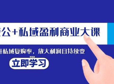 (5728)全域公+私域盈利商业大课,有效提升私域复购率,放大利润且持续变现
