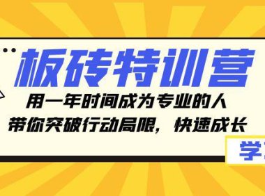（5730）板砖特训营，用一年时间成为专业的人，带你突破行动局限，快速成长