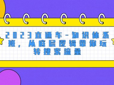 (5746)2023直通车-知识体系班,从底层逻辑带你玩转搜索流量(18节课)