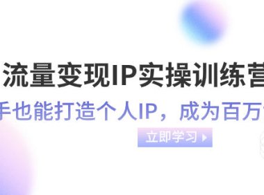 (5762)流量变现-IP实操训练营:新手也能打造个人IP,成为百万 博主(46节课)