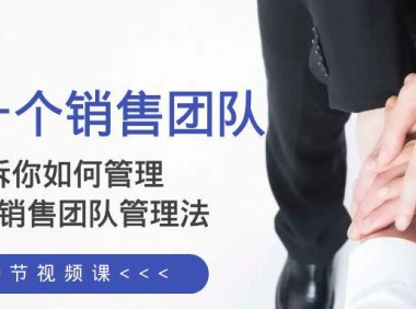 （5772）给你 一个销售团队，告诉你如何管理，高业绩销售团队管理法（89节课）