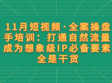 （5782）11月短视频·全案操盘手培训：打通自然流量 成为想象级IP必备要素 全是干货