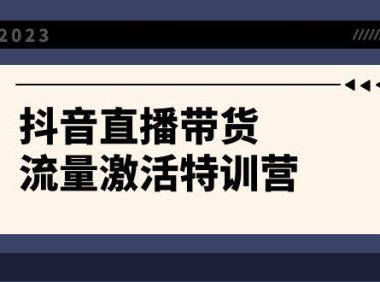 （5787）抖音直播带货-流量激活特训营，入行新手小白主播必学（21节课+资料）