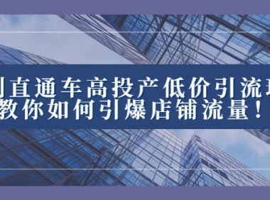 (5790)2023直通车高投产低价引流玩法,教你如何引爆店铺流量!