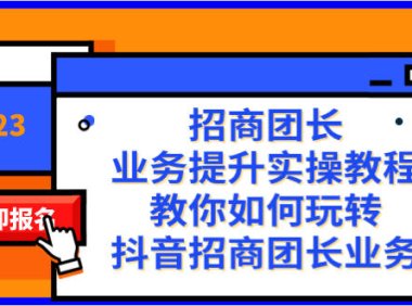 (5793)招商团长-业务提升实操教程,教你如何玩转抖音招商团长业务(38节课)