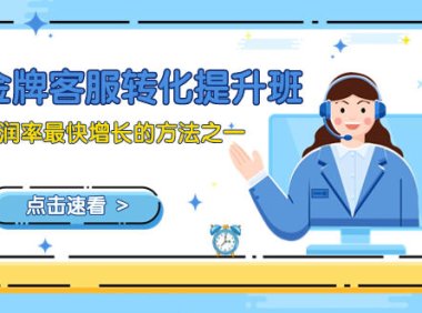 （5805）金牌客服-转化提升班，利润率最快增长的方法之一（9节课）