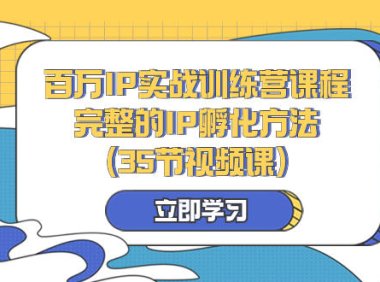 （5810）百万IP实战训练营课程，完整的IP孵化方法（35节视频课）