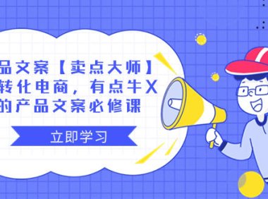 (5811)产品文案【卖点 大师】高转化电商,有点牛X的 产品文案必修课