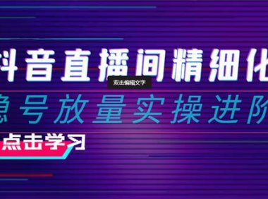 （5817）2024抖音直播间精细化运营：稳号放量实操进阶 选品/排品/起号/小店随心推/千川付费如何去投放