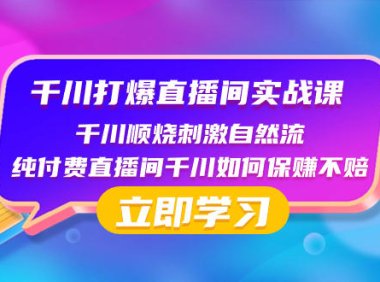 （5828）千川-打爆直播间实战课：千川顺烧刺激自然流 纯付费直播间千川如何保赚不赔