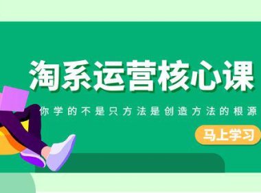 (5871)淘系-运营核心课,你学的不是只方法是创造方法的根源(190节课)