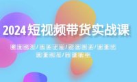 （5891）2024短视频带货实战课：赛道规划·选品方法·投流测品·放量玩法·流量规划