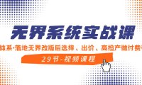 （5894）无界系统实战课，全体系·落地无界改版后选择、出价、高投产做付费引流