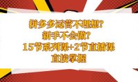 (5906)拼多多运营不理想?新手不会做?15节系列课+2节直播课,直接掌握
