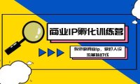 (5927)商业IP-孵化训练营新版,教你做商业Ip,做好人设,流量搞好钱