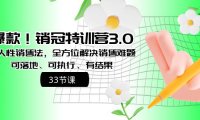 （5938）爆款！销冠特训营3.0之顺人性销售法，全方位解决销售难题、可落地、可执行、有结果